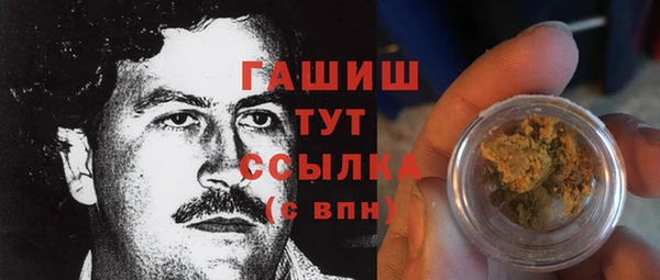 гидра Новодвинск