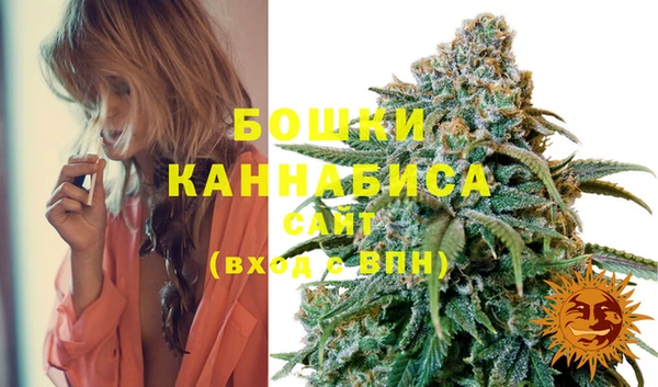 скорость Новозыбков