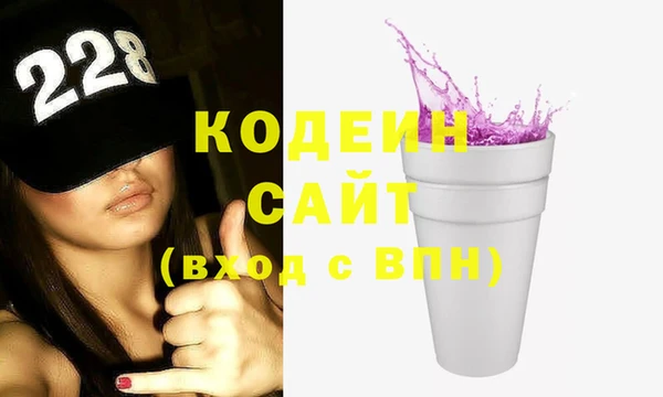 хмурый Нея