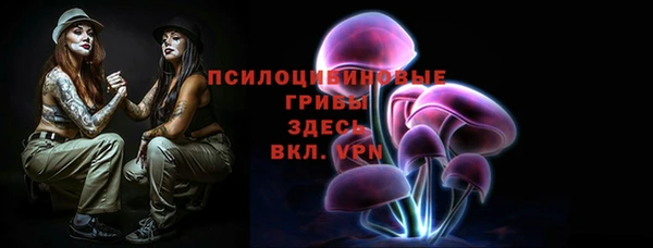 дмт Слюдянка