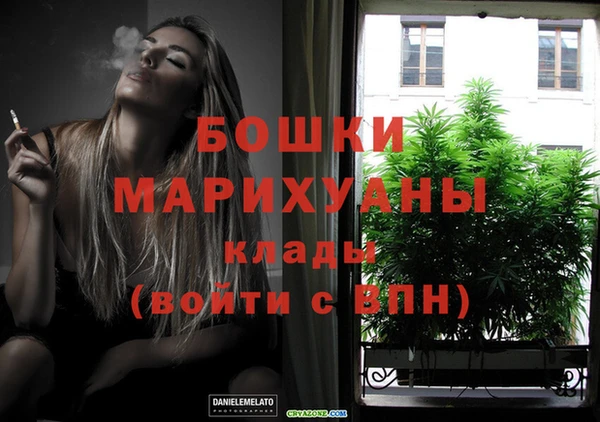 гидра Новодвинск