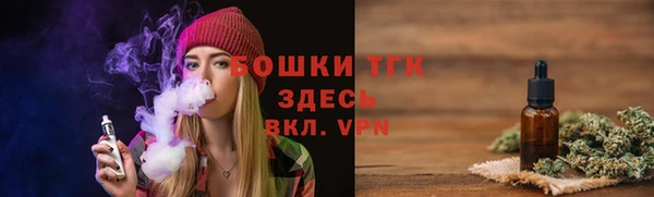 хмурый Нея