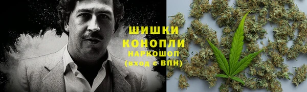 хмурый Нея