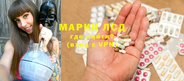 spice Аркадак